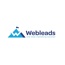 Web Leads Digital Agency