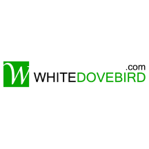 White Dove Bird