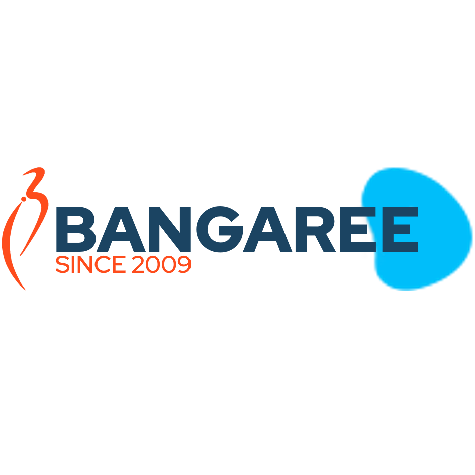 Bangaree Infotech Solutions