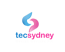 Tecsydney - India's Best Digital Marketing Agency in Noida