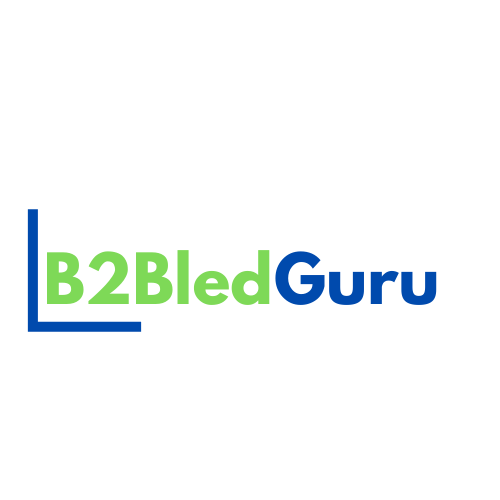 B2B Lead Gen Guru LLC