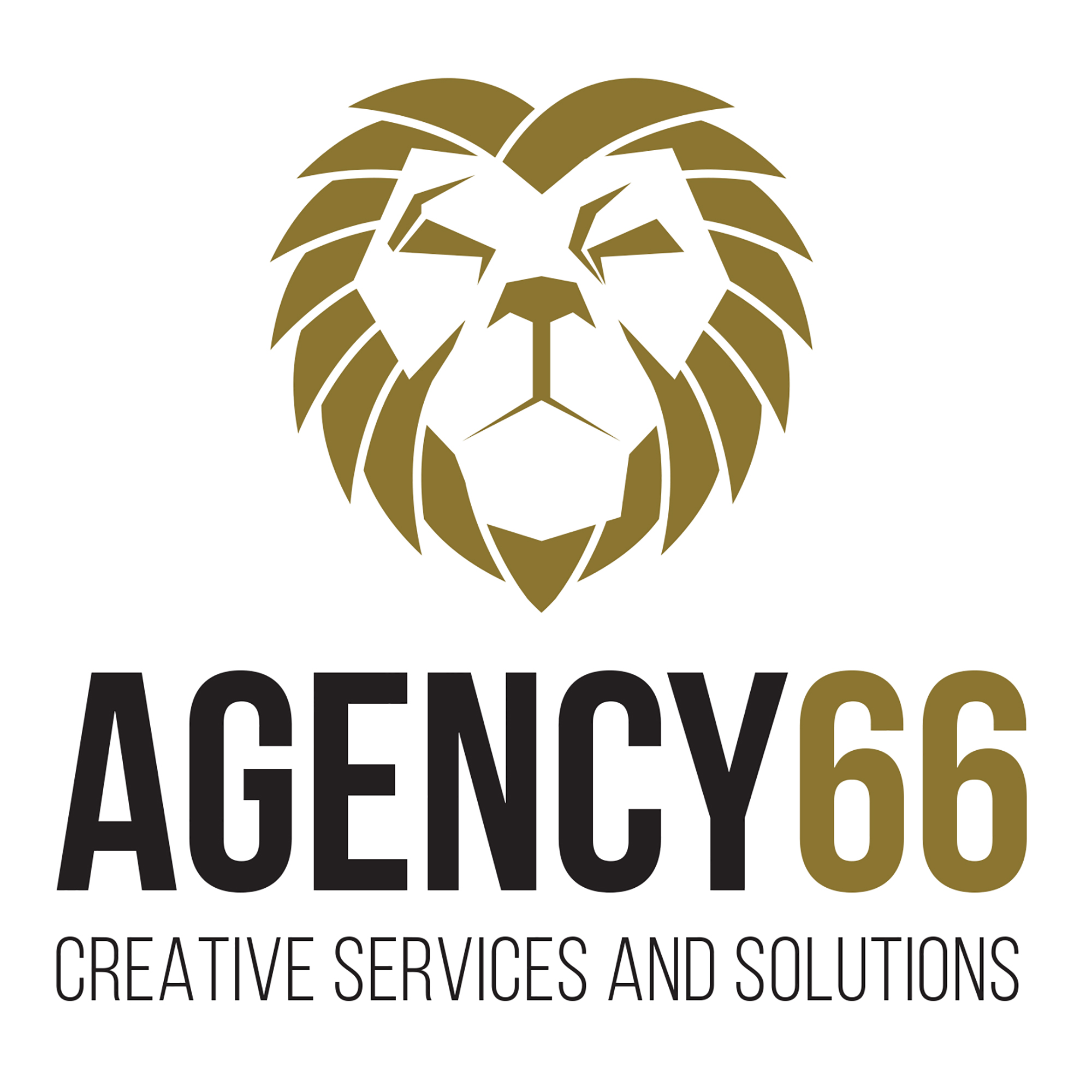 Agency 66