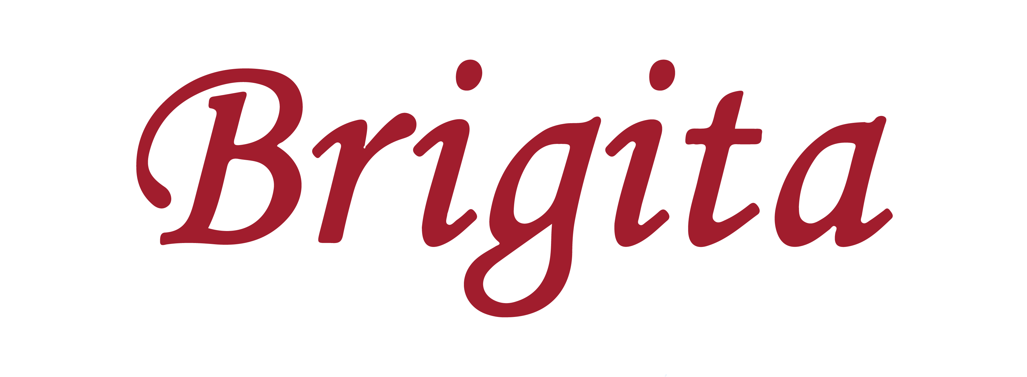 Brigita Solutions Pvt Ltd