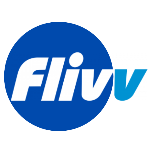 FLIVV WEB DEVELOPMENT PVT. LTD