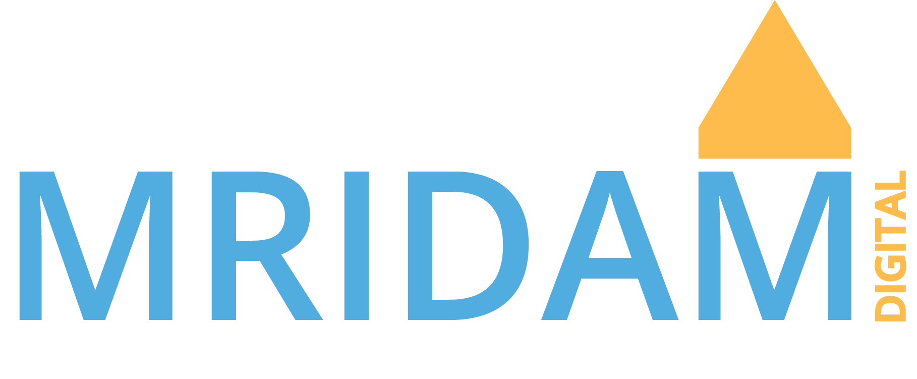 MRIDAM DIGITAL