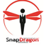 SnapDragon Associates, LLC
