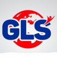 Global Leadership Solutions