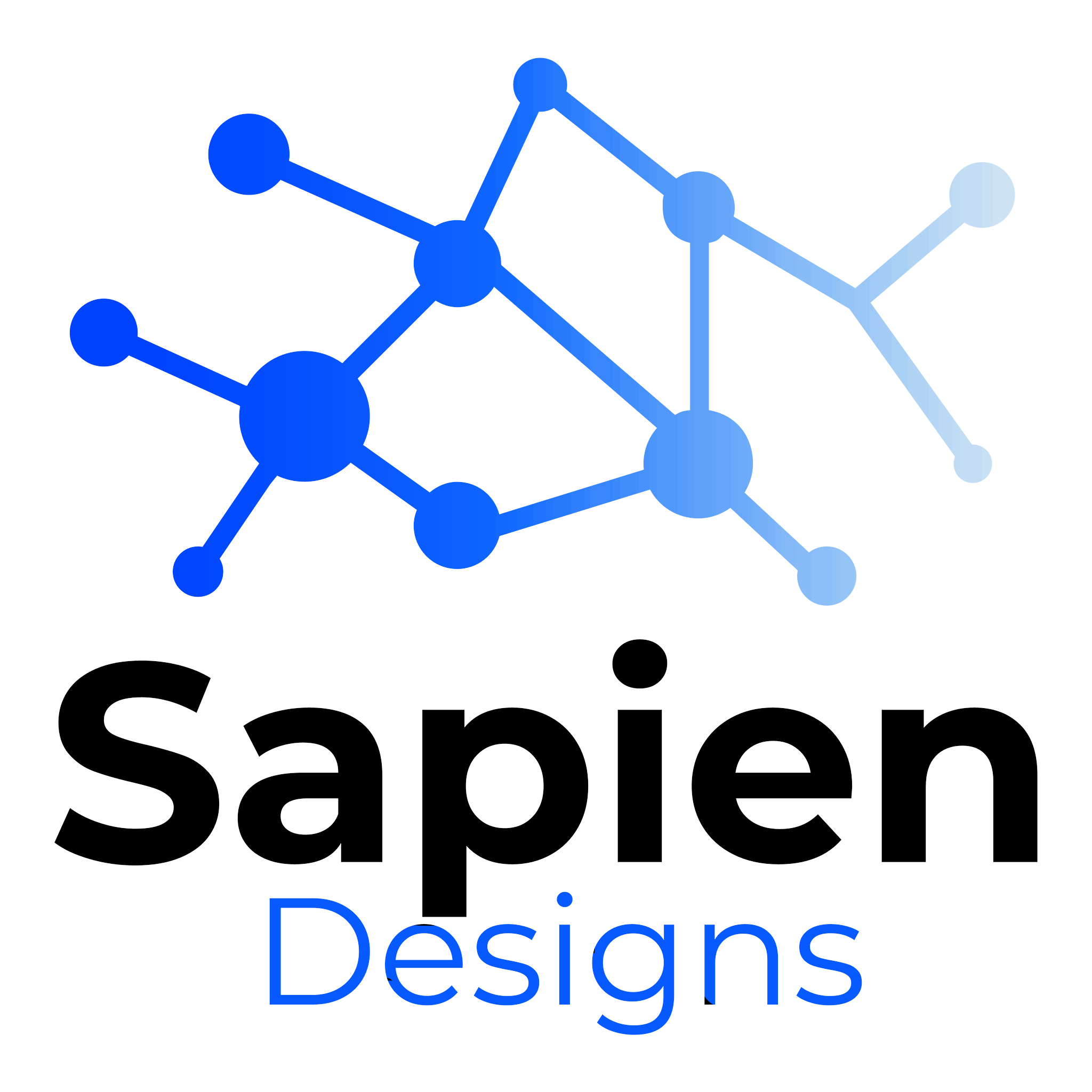 Sapien Designs SEO Digital Marketing Hub & Multimedia Studios