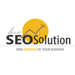 Live Seo Solution