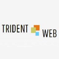 Trident Web Infoservices Pvt. Ltd.