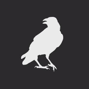 Stark / Raving Branding + Digital Marketing