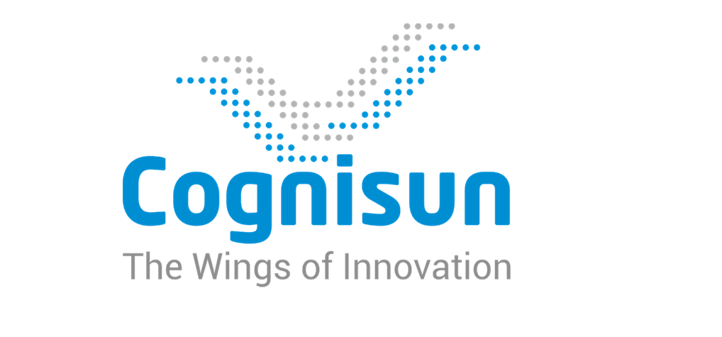 Cognisun Infotech Pvt. Ltd.