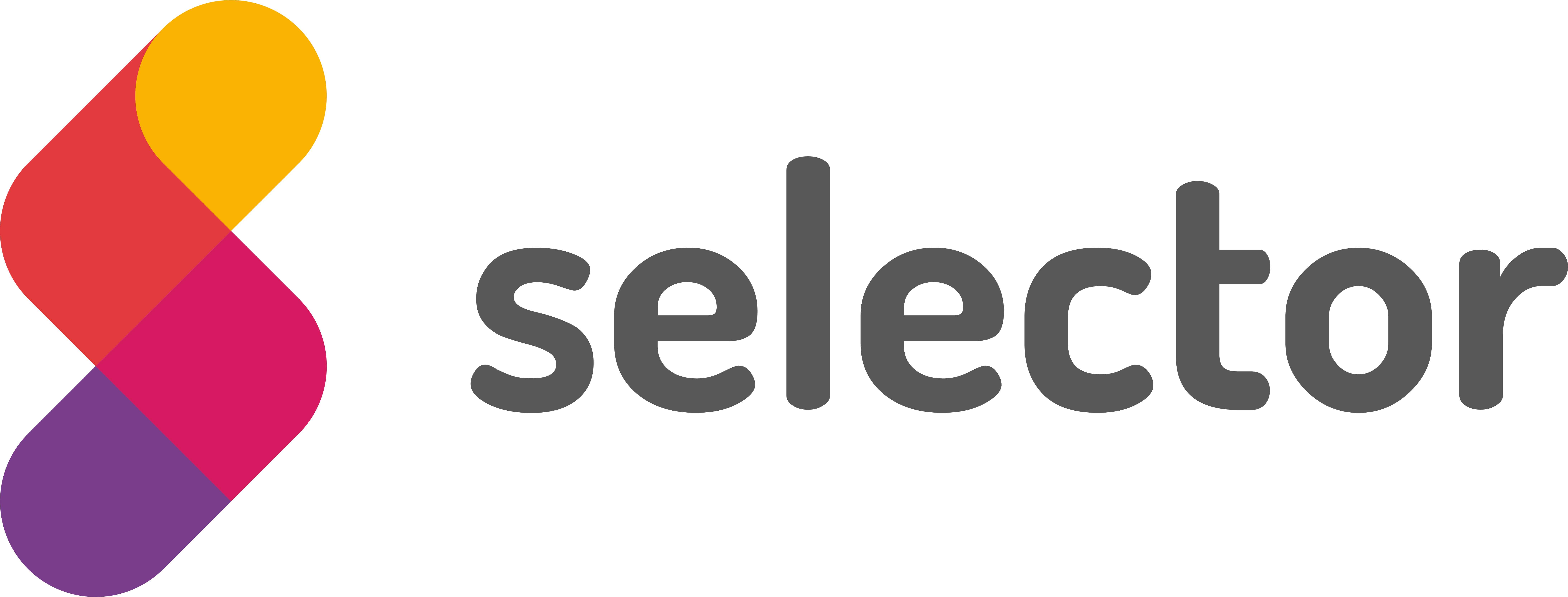 Selector Digital Agency