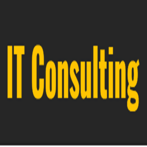 IT Consulting Patzschke