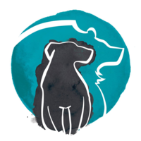 Bear Marketing