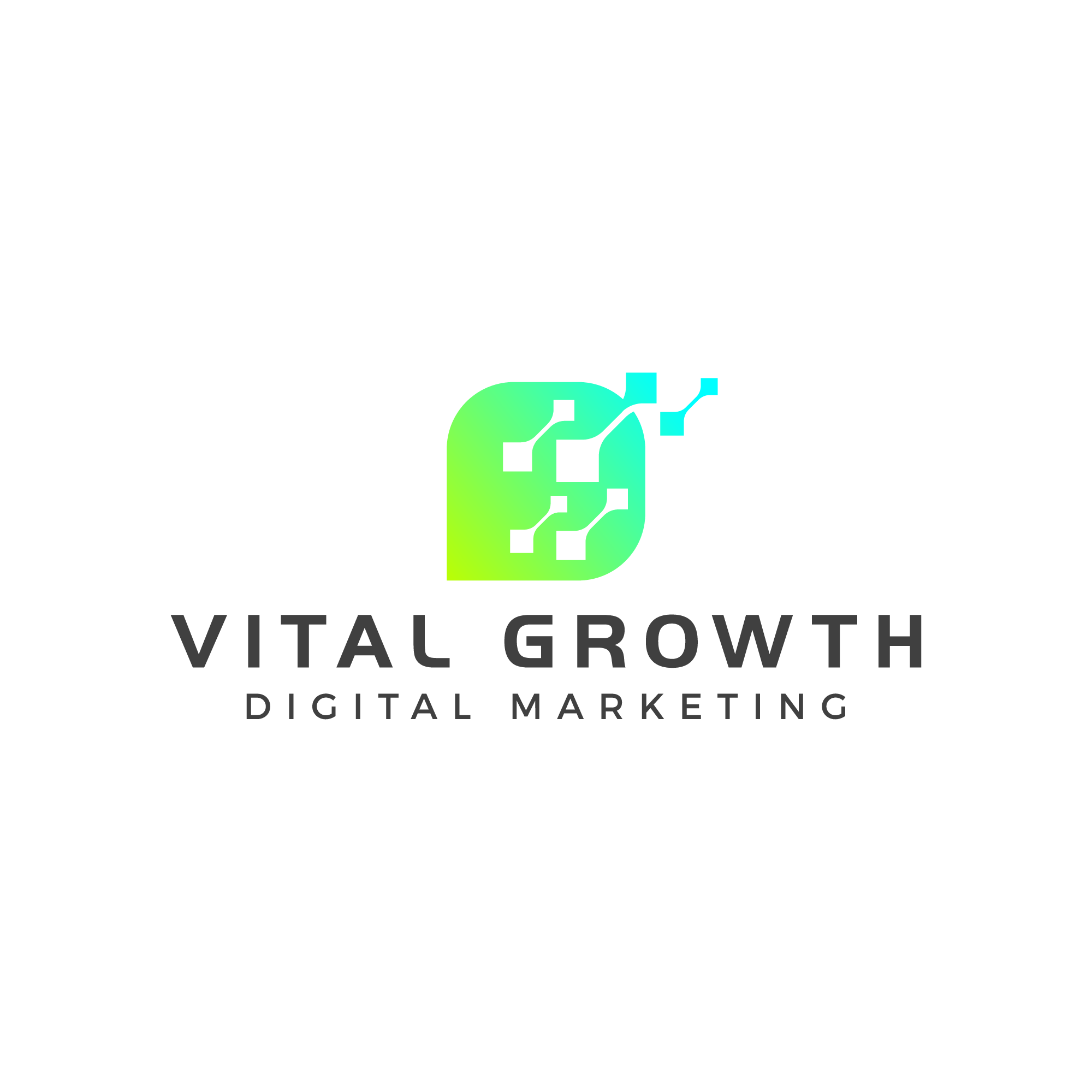 Vital Growth Digital Marketing