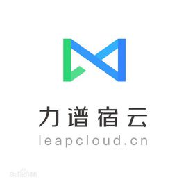Leap Cloud