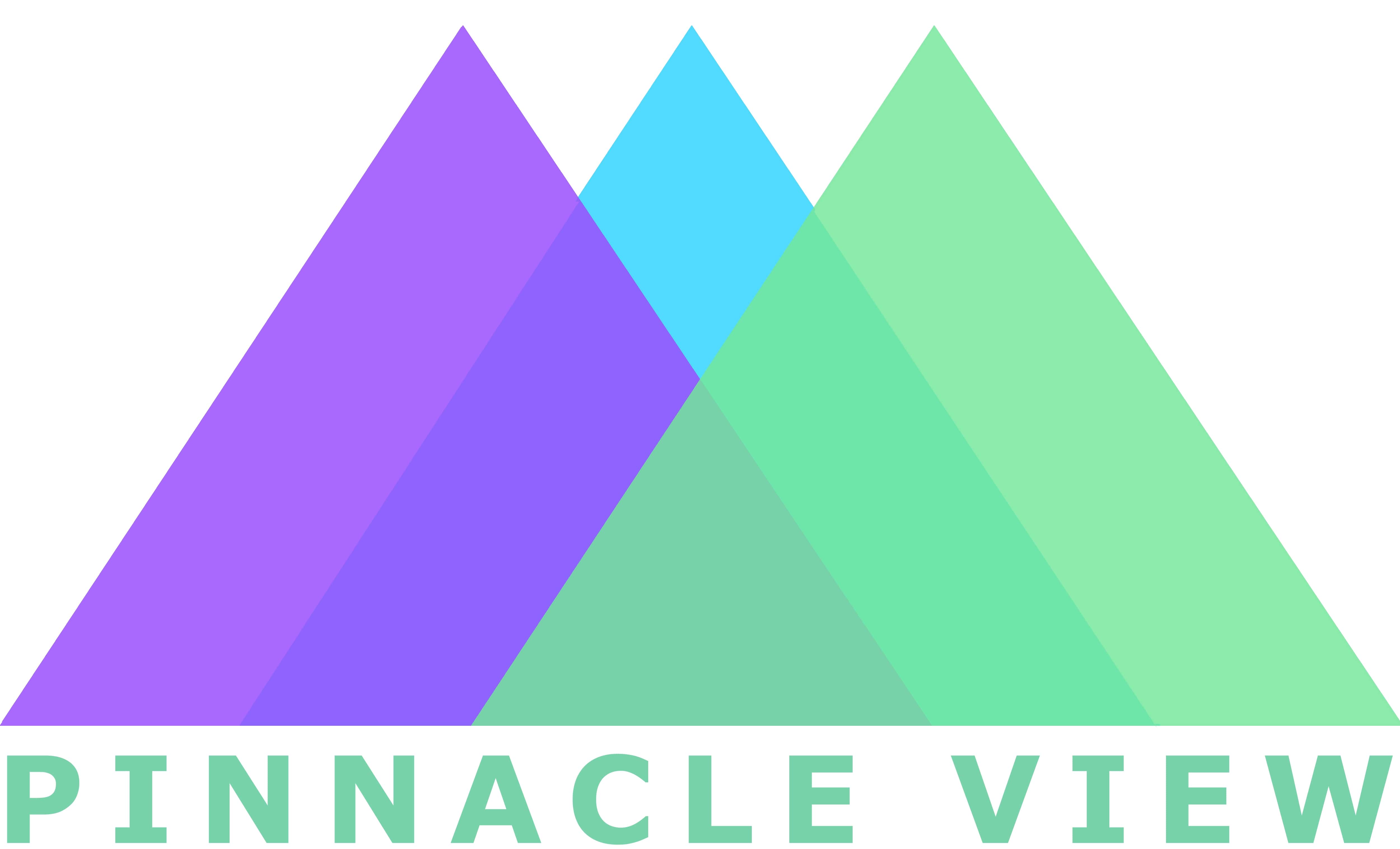Pinnacle View Inc.