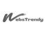 WebsTrendy Website Designer & Digital Marketing Company