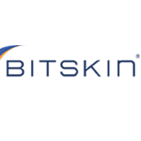 Bitskin