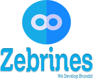 Zebrines - Hire Marketing Consultants | SEO Agency
