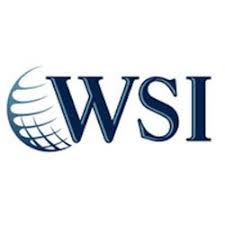 WSI Internet Consulting