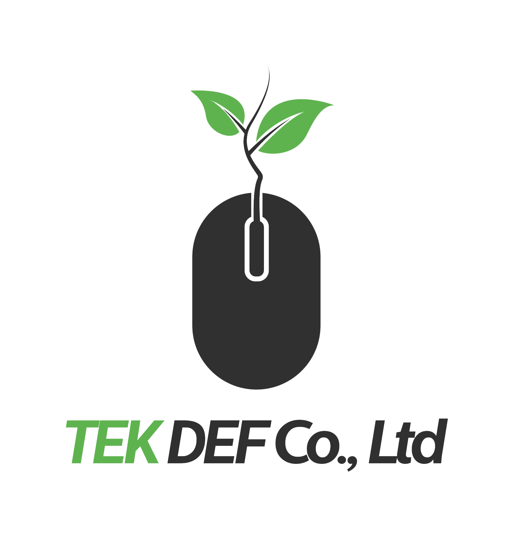 TEK DEF Co., LTD