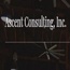 Ascent Consulting, Inc.