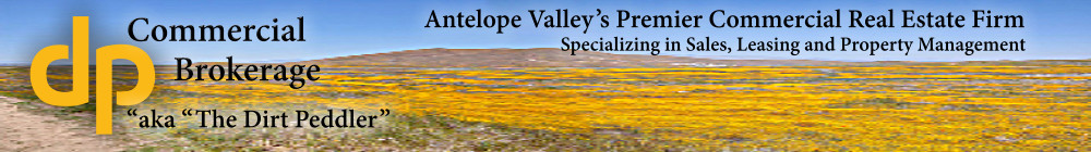 Dp Commercial Brokerage Inc