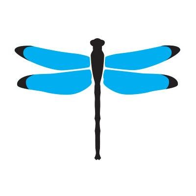 Dragonfly Digital Marketing