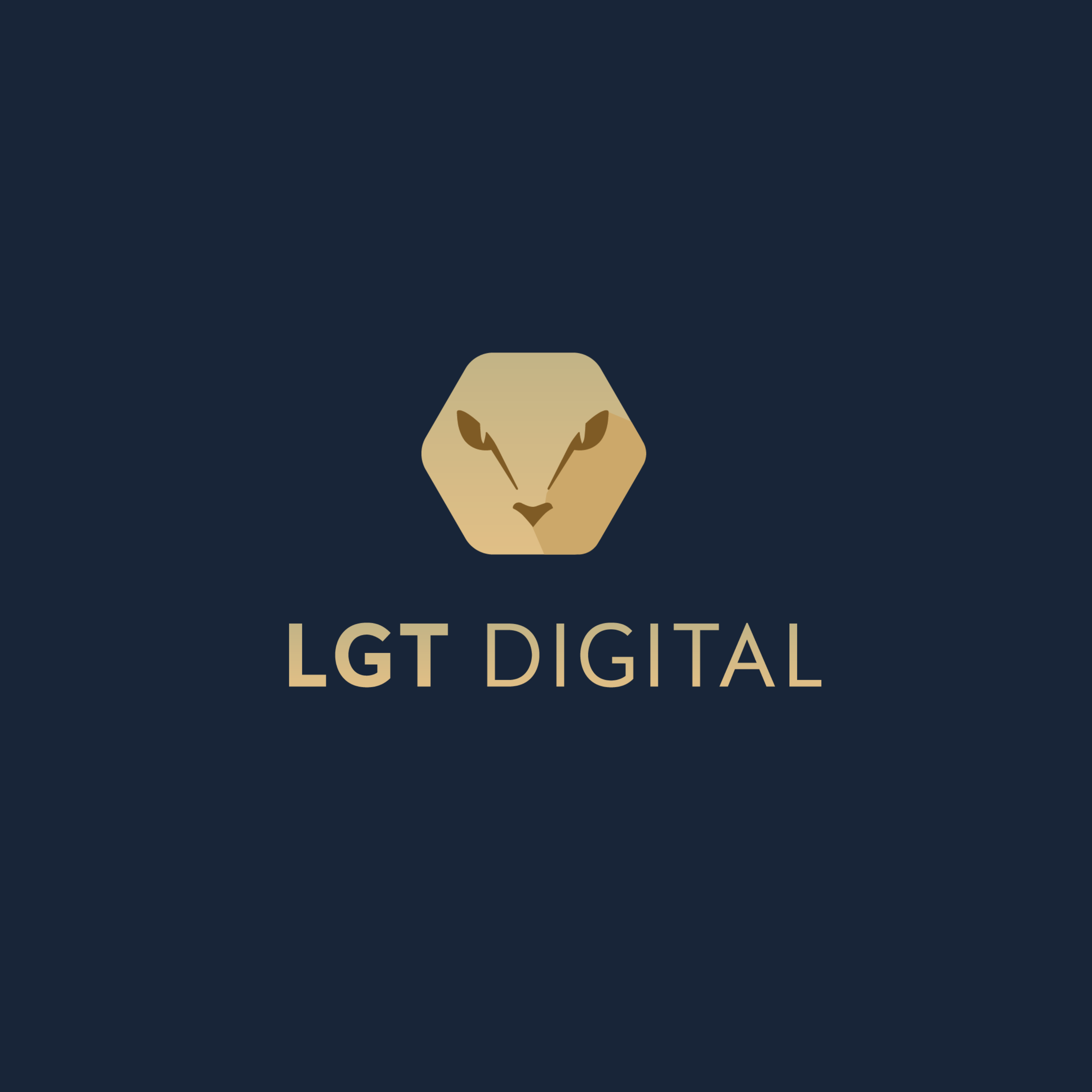lgtdigital.com.au