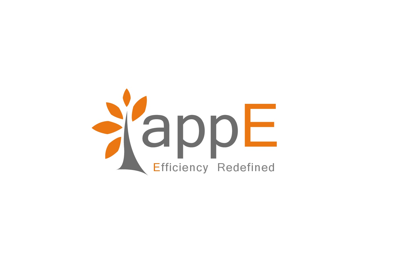 AppE Technology Solutions Private Limited