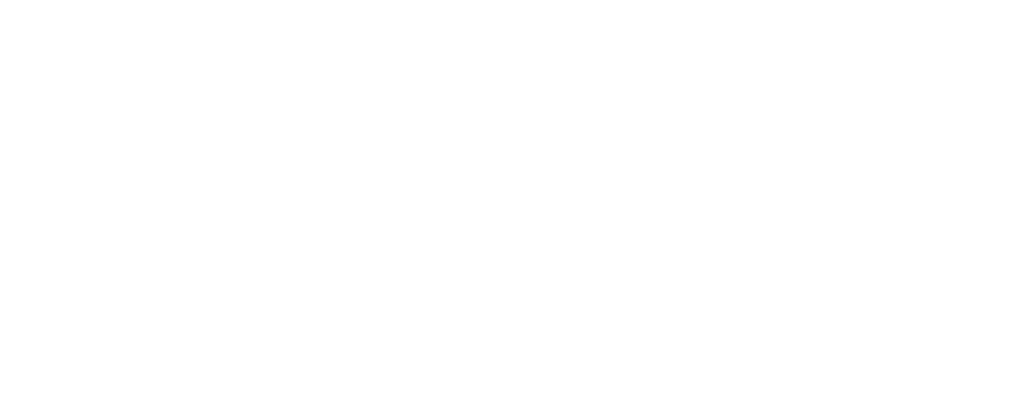 Sprint Digital