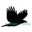 Crowflight Consulting