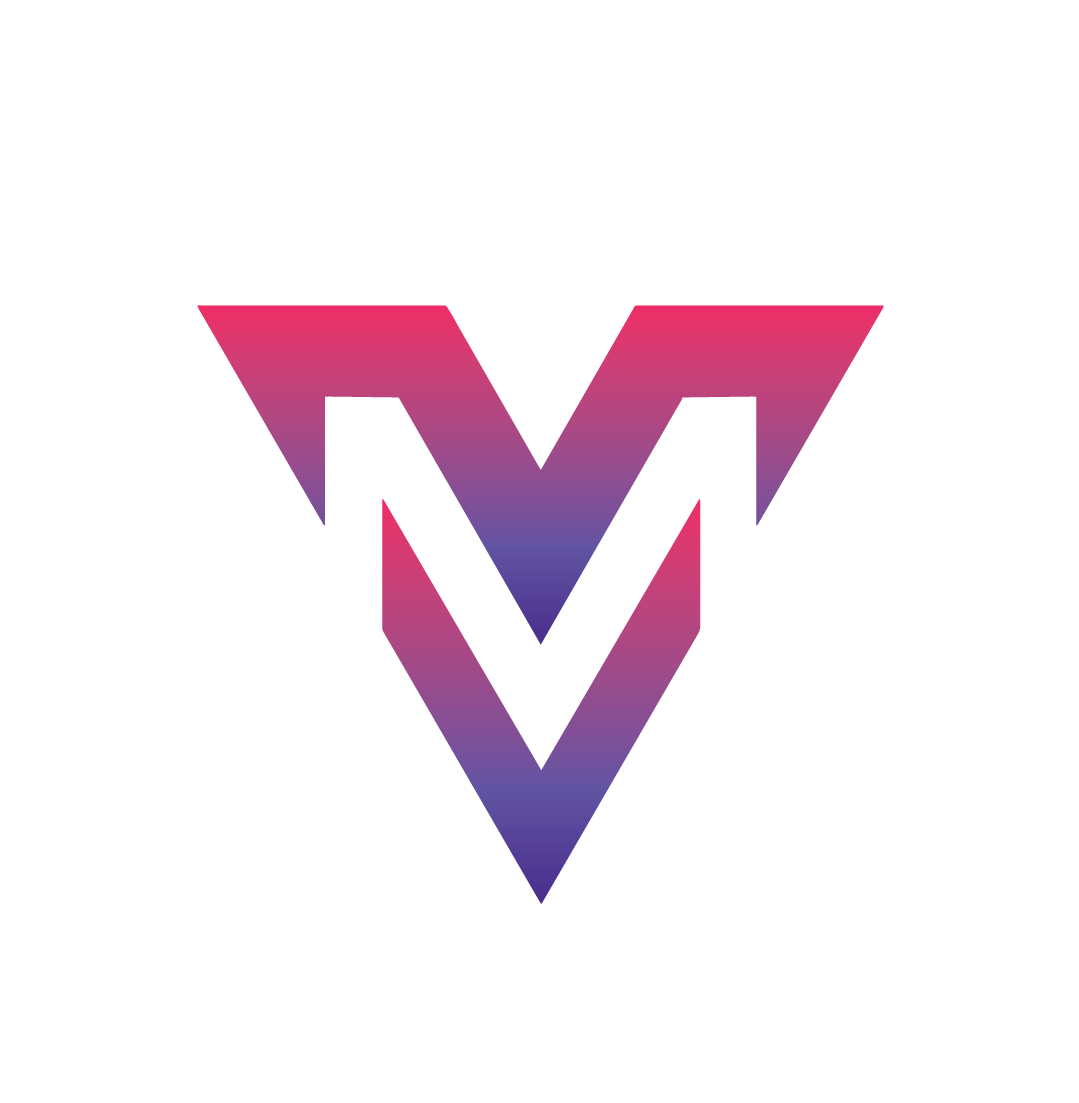 VIDIT MEGHWAL SEO EXPERT