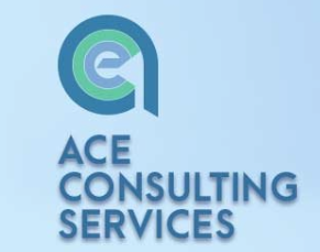 ACE CONSULTING SERVICES LLC