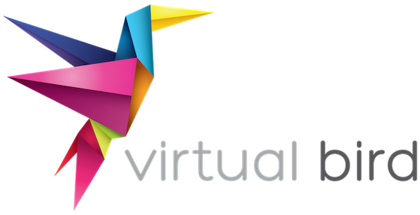 Virtual Bird LLC