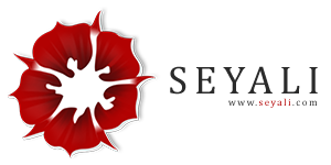Seyali Technology Private Limited