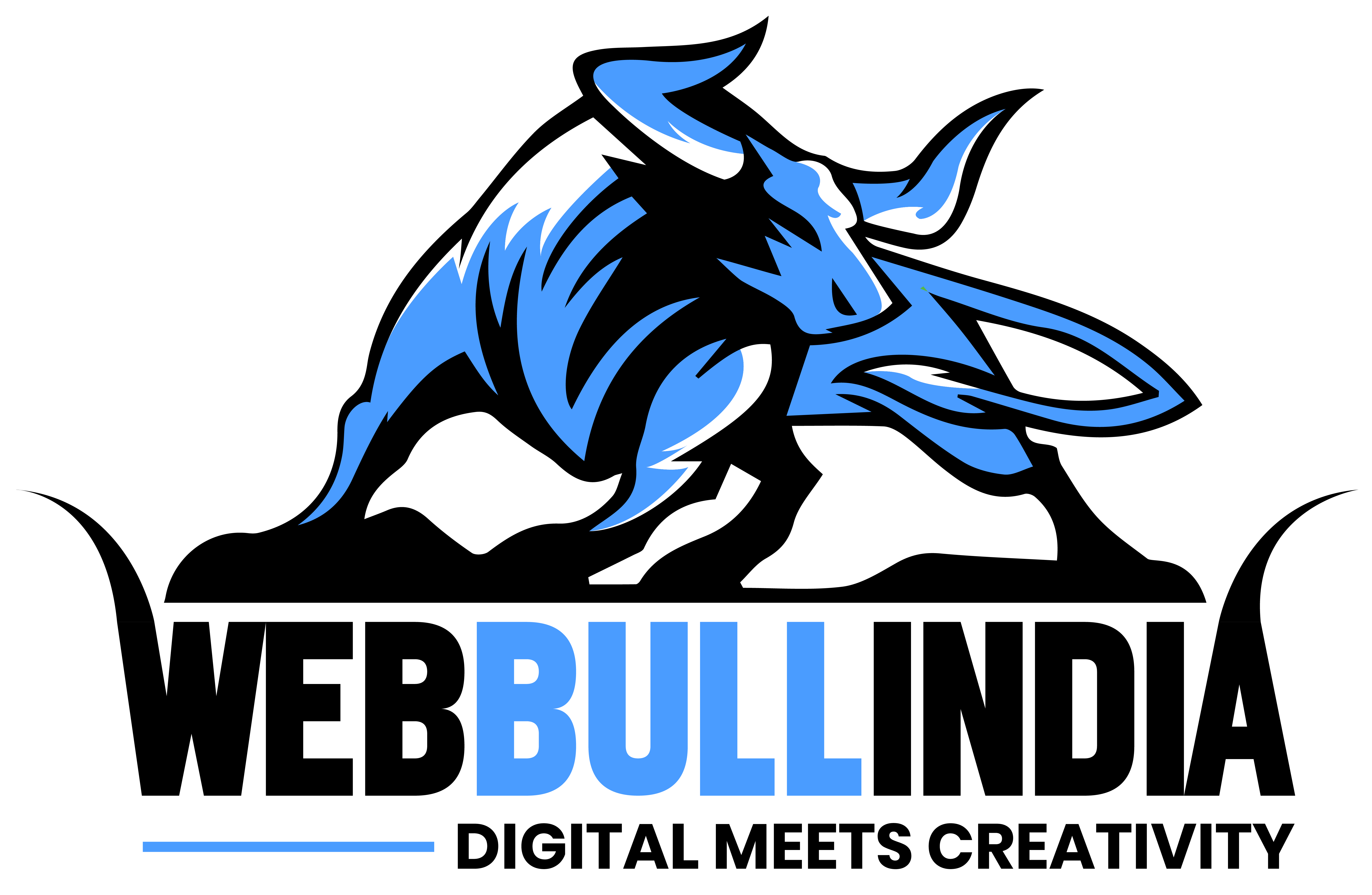Web Bull India