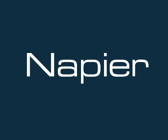 Napier Partnership Limited