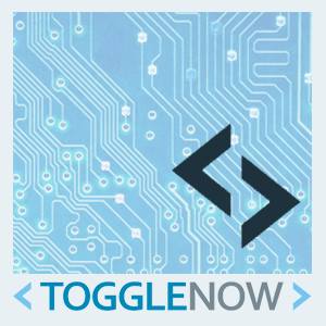 ToggleNow Software Solutions Pvt Ltd.