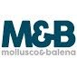 Mollusco & Balena - Web Agency