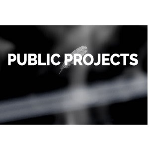 Public Projects