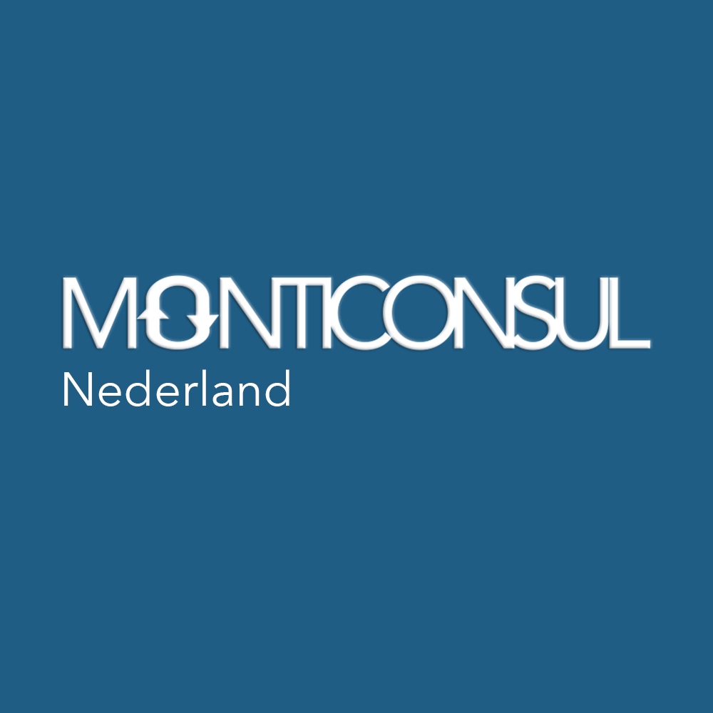 MontiConsul Nederland B.V.