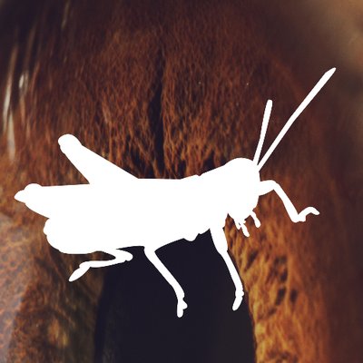 Sauterelle Design Inc.