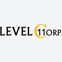 LEVEL 11 CORP