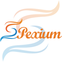 SPEXIUM INFOTECH PRIVATE LIMITED