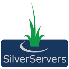 SilverServers