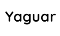 Yaguar Digital