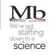 Mb Staffing Services